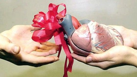 ألمانيا .. عدد المتبرعين بالأعضاء يبلغ أعلى مستوى له سنة 2025