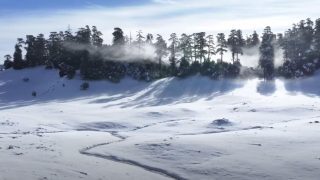 الثلوج تعود لتكسو قمم خنيفرة وتعيد الحياة لغابات الأرز