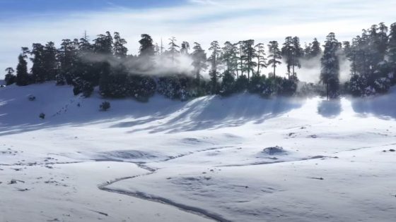 الثلوج تعود لتكسو قمم خنيفرة وتعيد الحياة لغابات الأرز