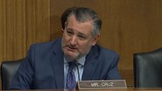 مجلس الشيوخ الأمريكي يدق ناقوس الخطر إزاء الطابع “الإرهابي” لـ”البوليساريو”