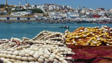 مراكب الصيد الساحلي بميناء العرائش تستأنف نشاطها بعد تحسن أحوال البحر