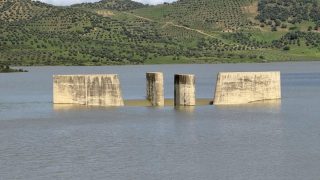 بركة: ارتفاع مخزون سد واد المخازن إلى 1097.9 مليون متر مكعب