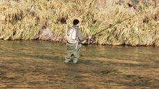 الوكالة الوطنية للمياه والغابات تعلن افتتاح موسم الصيد في المياه البرية 2026-2027