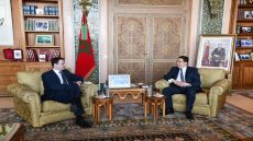 التشيك تؤكد موقفها الداعم للحكم الذاتي بالصحراء تحت السيادة المغربية