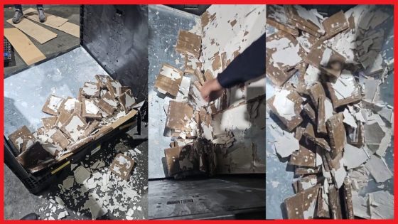 الأمن والجمارك يحبطان تهريب طن و140 كيلوغرامًا من مخدر الشيرا بميناء طنجة المتوسط