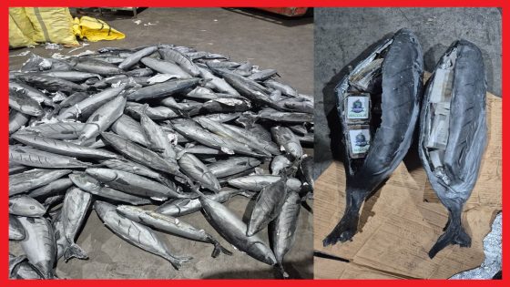 الأمن يحبط تهريب 3 أطنان و932 كيلوغرامًا من مخدر الشيرا بميناء طنجة المتوسط