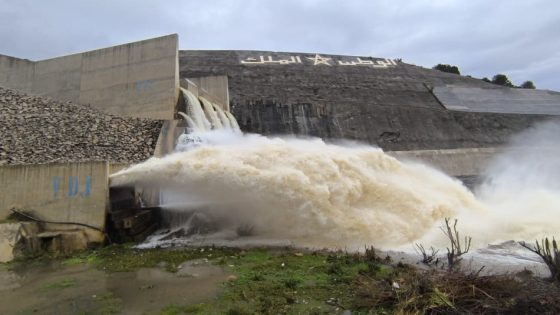 وزير التجهيز والماء: نسبة ملء السدود ارتفعت إلى 75% بفضل التساقطات الأخيرة