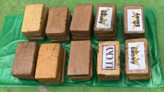 إحباط تهريب أزيد من 33 كلغ من الكوكايين بميناء طنجة المتوسط