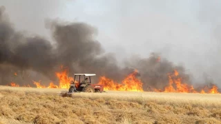 حرائق موسمية تهدد محاصيل الفلاحين في المغرب