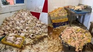 طنجة.. حجز طنين من الدجاج الفاسد داخل مستودع سري يثير استنفار السلطات