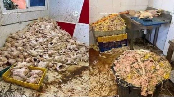 طنجة.. حجز طنين من الدجاج الفاسد داخل مستودع سري يثير استنفار السلطات
