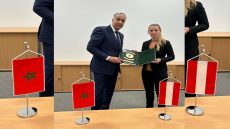 حموشي يقوم بزيارة عمل إلى فيينا من 5 إلى 7 ماي الجاري على رأس وفد أمني هام