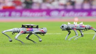 مونديال 2026: كلاب روبوتية من «بوسطن داينامكس» لتعزيز أمن الملاعب