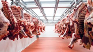 غلاء اللحوم الحمراء يواصل الضغط على الأسر المغربية
