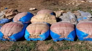 حجز طن من “الكيف” داخل منزل مهجور يقود الدرك إلى فتح تحقيق باشتوكة آيت باها