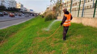 الدار البيضاء على خطى الرباط.. خطة لتحويل الأراضي المهملة إلى فضاءات خضراء