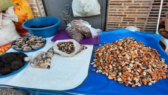 آسفي.. تحذير صحي من استهلاك «بوزروك» الكاب البدوزة بسبب تلوث سام