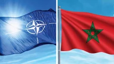 المغرب يحتضن برنامجاً للناتو لتكوين أطر عسكرية إفريقية وتعزيز التعاون الدفاعي
