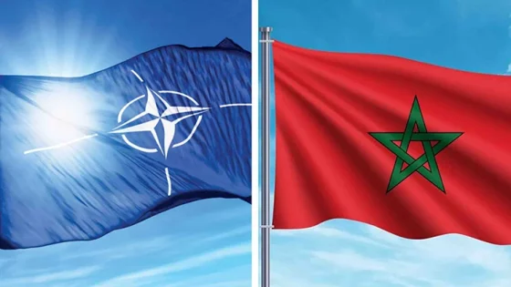 المغرب يحتضن برنامجاً للناتو لتكوين أطر عسكرية إفريقية وتعزيز التعاون الدفاعي