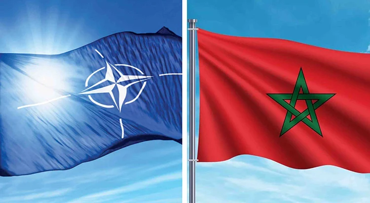 المغرب يحتضن برنامجاً للناتو لتكوين أطر عسكرية إفريقية وتعزيز التعاون الدفاعي