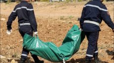 العنق بالدار البيضاء.. العثور على شخص مشنوقًا بحبل مربوط إلى شجرة والتحقيقات جارية