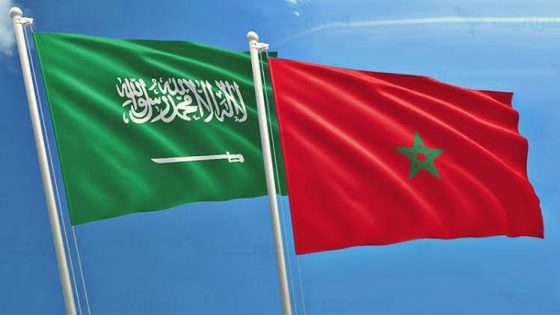 المغرب يجدد أمام مجلس الأمن تأكيد تضامنه المطلق مع المملكة العربية السعودية إثر الاعتداءات “الجبانة” للحوثيين