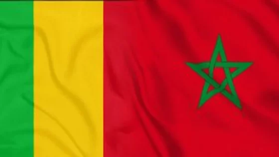 مالي تشيد بـ”ريادة المغرب” في إرساء الاتفاقية الإفريقية بشأن نزع سلاح الأطفال الجنود وتسريحهم وإعادة إدماجهم