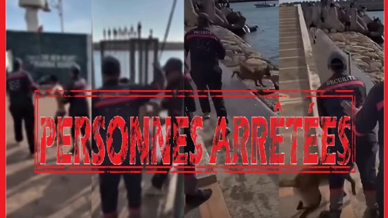 أكادير.. إحالة حارسي أمن خاص على العدالة بتهمة تعنيف قاصر وتحريض كلب شرس على أطفال