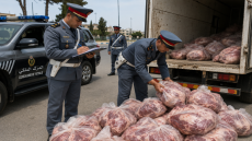 طنجة.. حجز 227 كيلوغراما من اللحوم غير الخاضعة للمراقبة الصحية وتوقيف مشتبه فيه