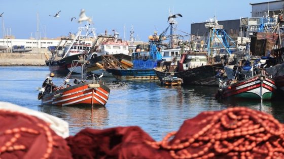 اختفاء خمسة بحارة بسواحل آسفي واستنفار للبحث عنهم