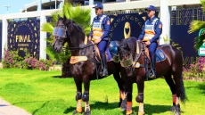 معرض الفرس للجديدة.. المديرية العامة للأمن الوطني تبرز دور شرطة الخيالة في حماية البيئة والأمن السياحي